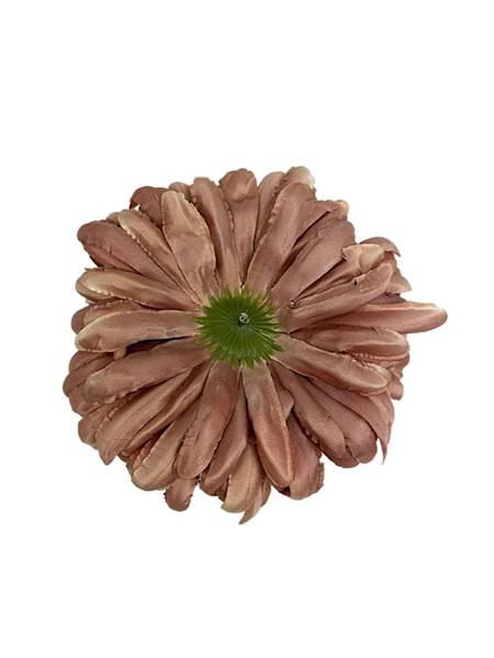 Chryzantema główka  XL 16 cm capuccino
