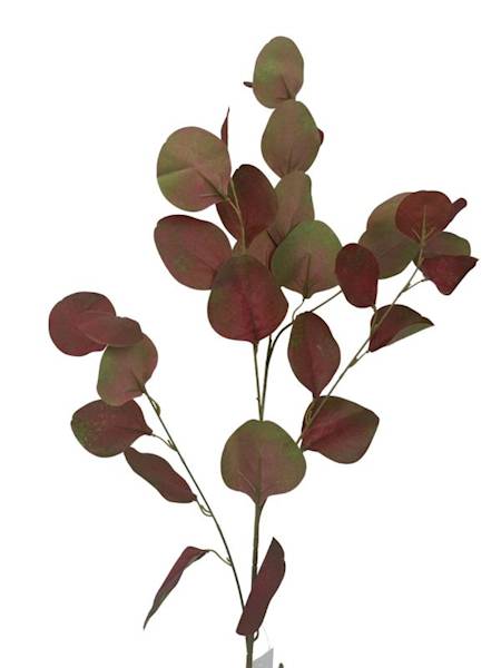 Eukaliptus gałązka 90 cm jesienny