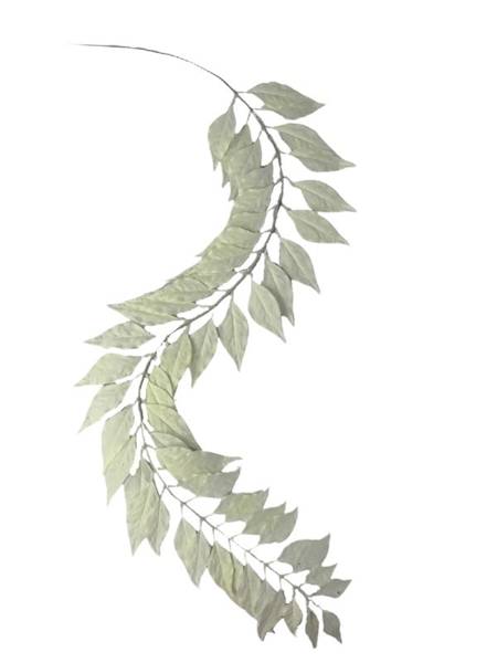 Liść laurowy 121 cm biały