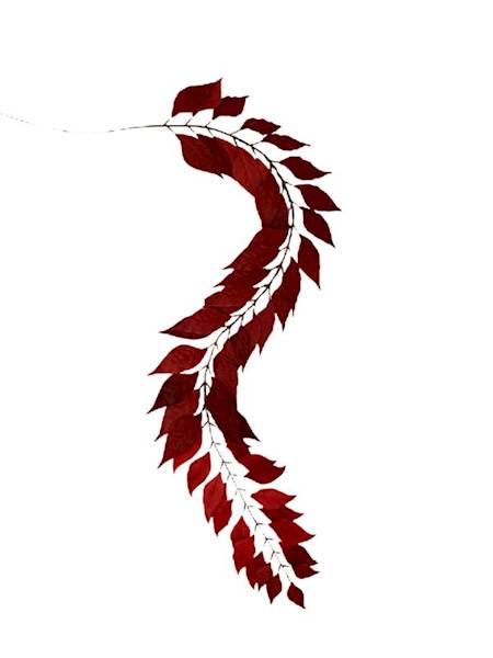 Liść laurowy 121 cm czerwony