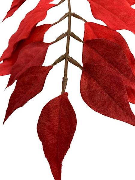 Liść laurowy 121 cm czerwony