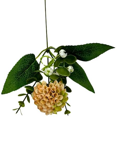 Dodatek czosnek 31 cm brzoskwiniowy