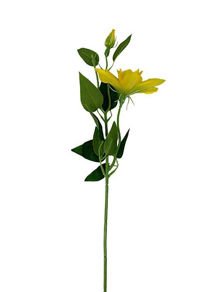 Klematis gałązka 48 cm żółty