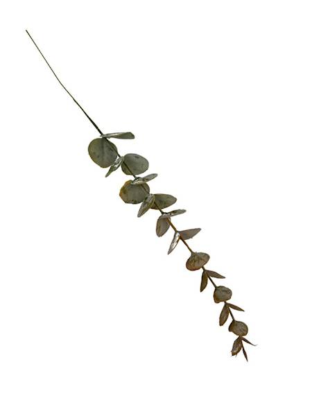 Eukaliptus gałązka 38 cm zielono pomarańczowy