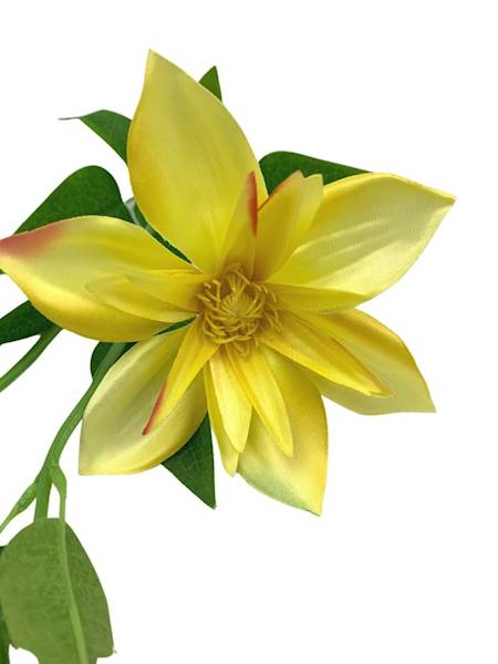 Klematis gałązka 48 cm żółty z czerwonym akcentem