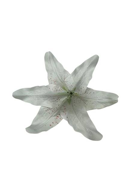 Lilia główka 19 cm biała