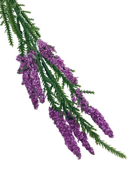 Wrzos gałązka 40 cm brudny fiolet