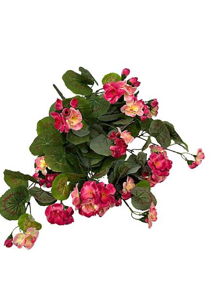 Pelargonia bukiet 52 cm odcienie różu