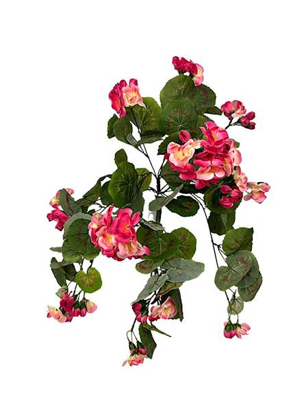 Pelargonia bukiet 52 cm odcienie różu