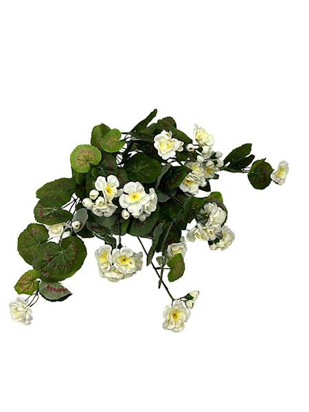 Pelargonia bukiet 52 cm kremowa