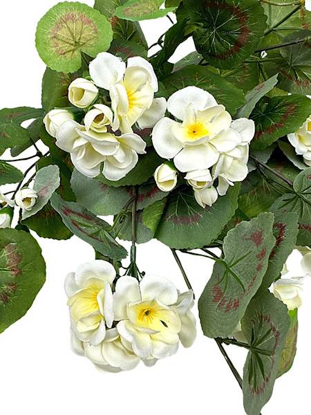 Pelargonia bukiet 52 cm kremowa