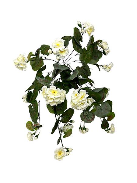 Pelargonia bukiet 52 cm kremowa