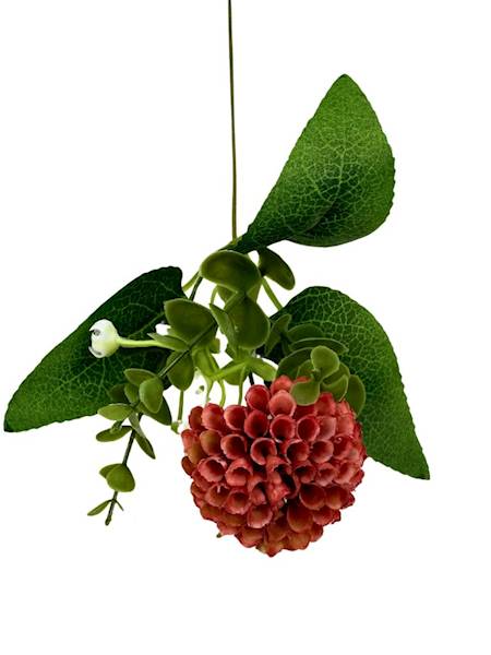 Dodatek czosnek 31 cm czerwony