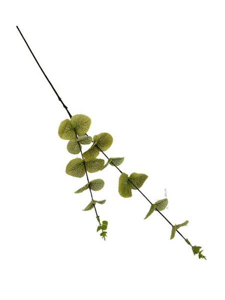 Eukaliptus gałązka 64 cm zielony