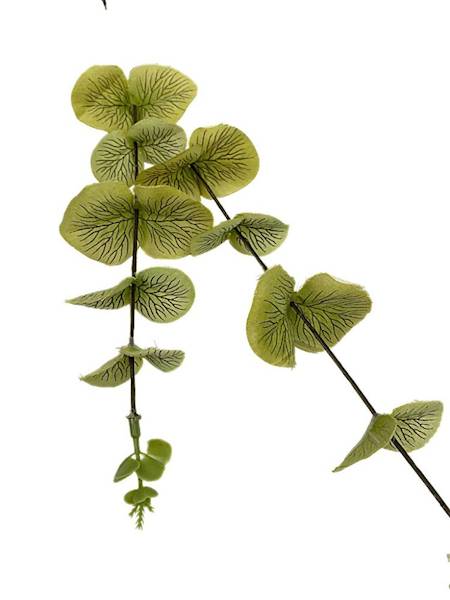 Eukaliptus gałązka 64 cm zielony