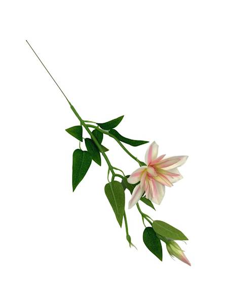 Klematis gałązka 48 cm krem róż