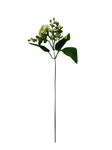 Dodatek czosnek 31 cm biały