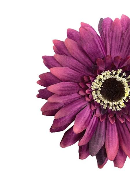 Gerbera główka 16 cm ciemny fiolet