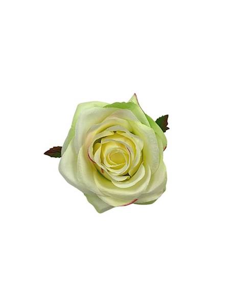 Róża główka 9 cm jasno zielona z różem