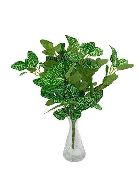 Bukiet zielony fitonia 46 cm 