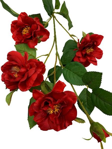 Gardenia gałązka 82 cm czerwona