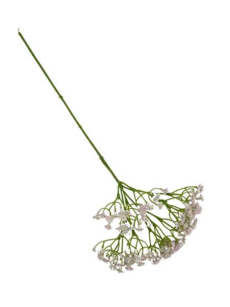 Gipsówka 50 cm biała z bardzo jasnym różem 