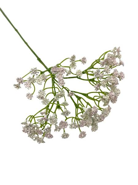 Gipsówka 50 cm biała z bardzo jasnym różem 