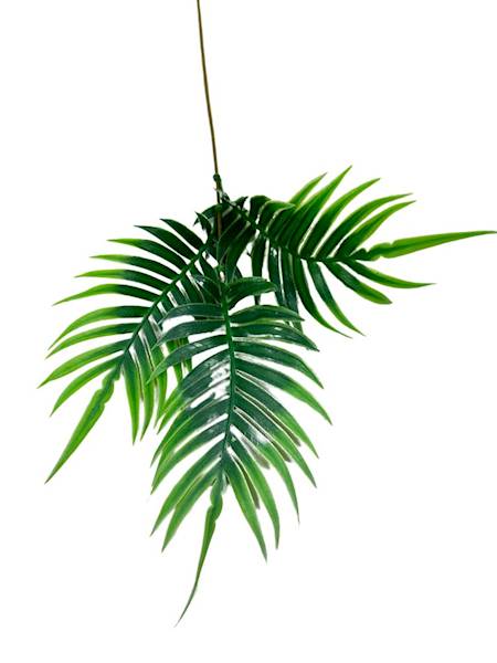 Paproć gałązka 46 cm zielona