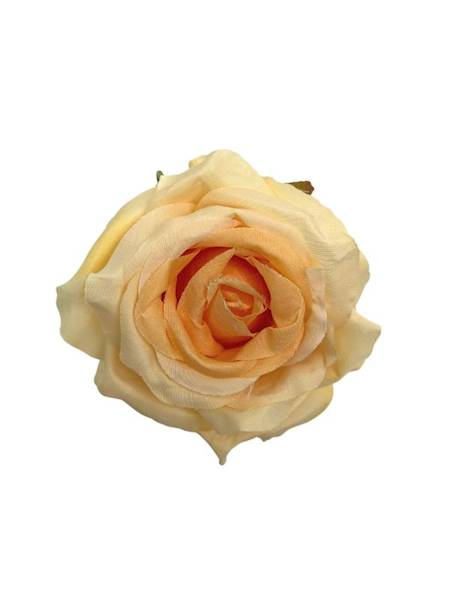 Róża główka 9 cm jasno żółta z pomarańczowym