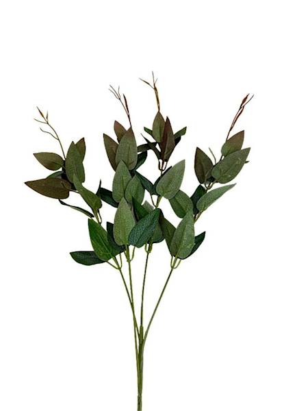 Ruskus gałązka 70 cm zielony z bordem