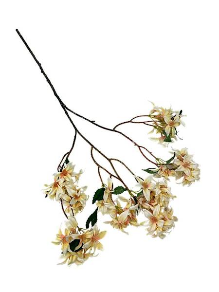 Jaśmin gałązka 74 cm brzoskwiniowy