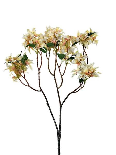 Jaśmin gałązka 74 cm brzoskwiniowy