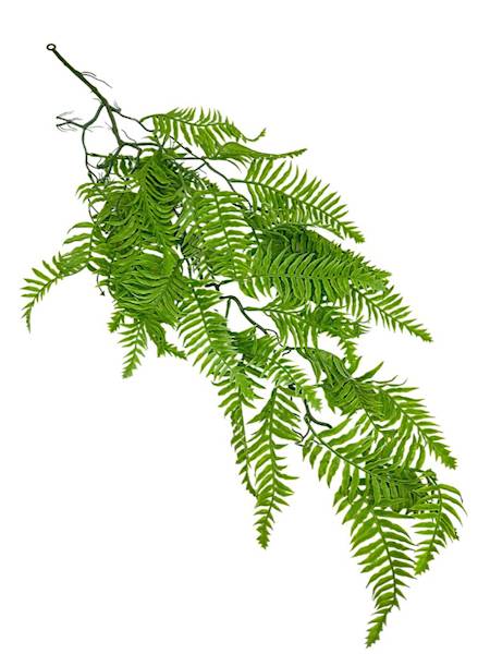 Paproć zwis 90 cm jasno zielona