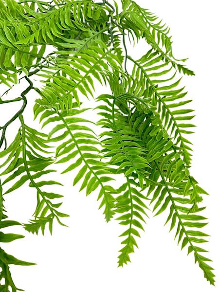 Paproć zwis 90 cm jasno zielona