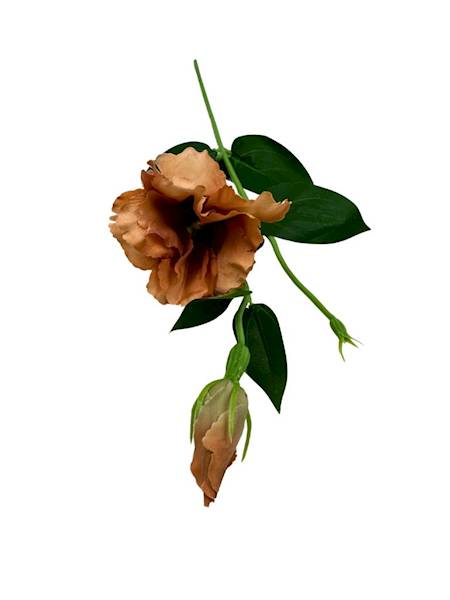 Eustoma gałązka 48 cm brązowa