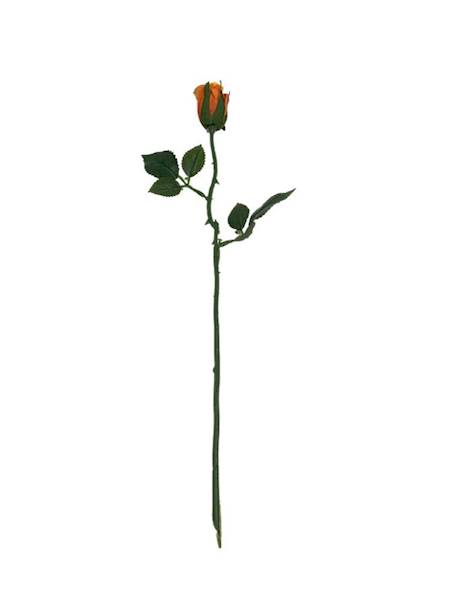 Róża gałązka 35 cm pomarańczowa