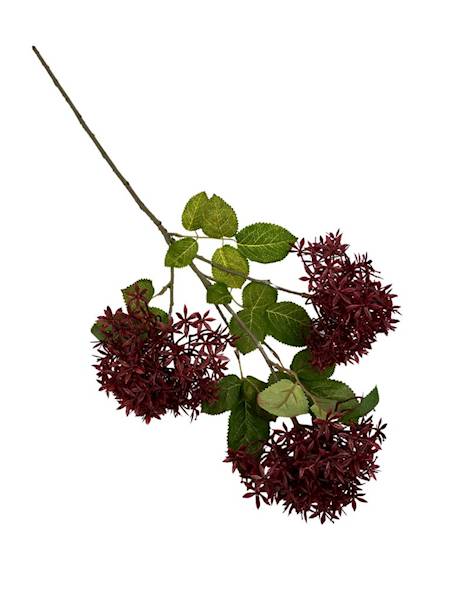 Czosnek gałązka 67 cm bordowy