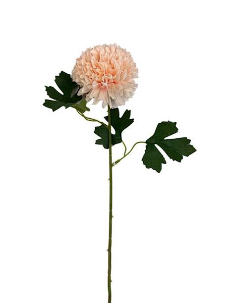 Chryzantema gałązka 50 cm brzoskwiniowa