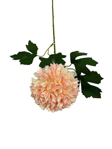 Chryzantema gałązka 50 pudrowy róż z kremem