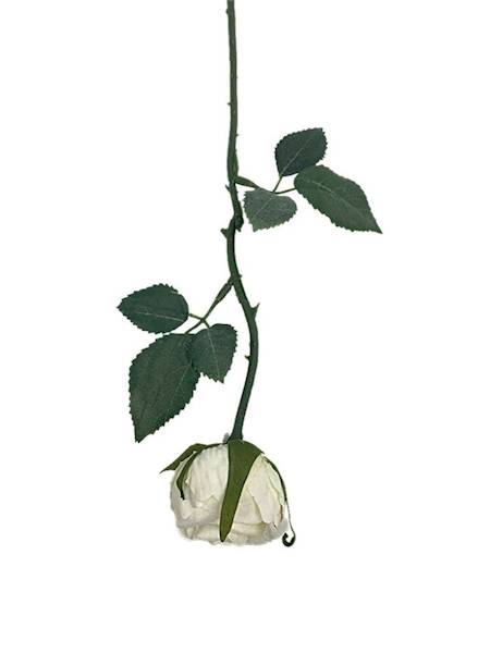 Róża gałązka 35 cm kremowa