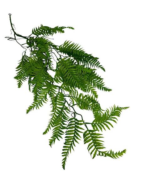 Paproć zwis 90 cm zielona