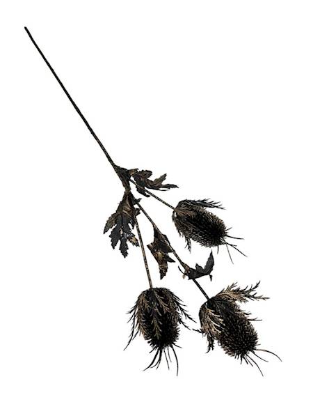 Gałązka osty 65 cm czarno złota