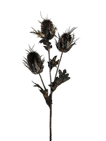 Gałązka osty 65 cm czarno złota