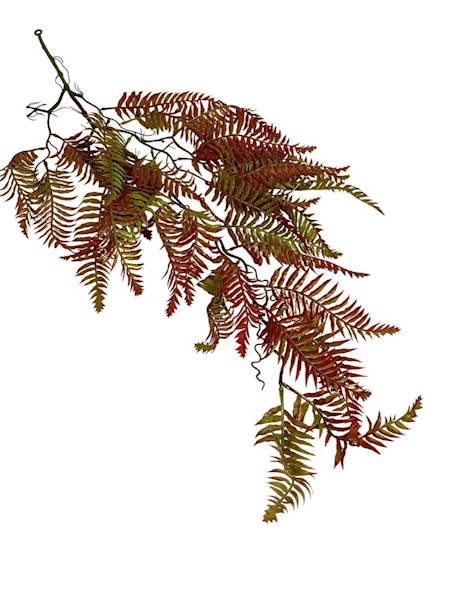 Paproć zwis 90 cm czerwono zielona