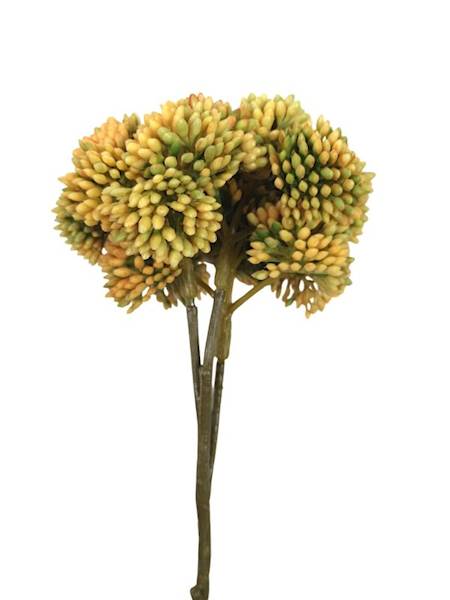 Rozchodnik gałązka 45 cm żółty