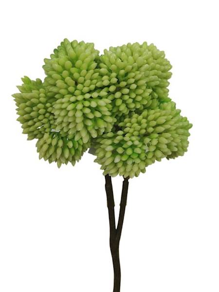 Rozchodnik gałązka 45 cm zielony