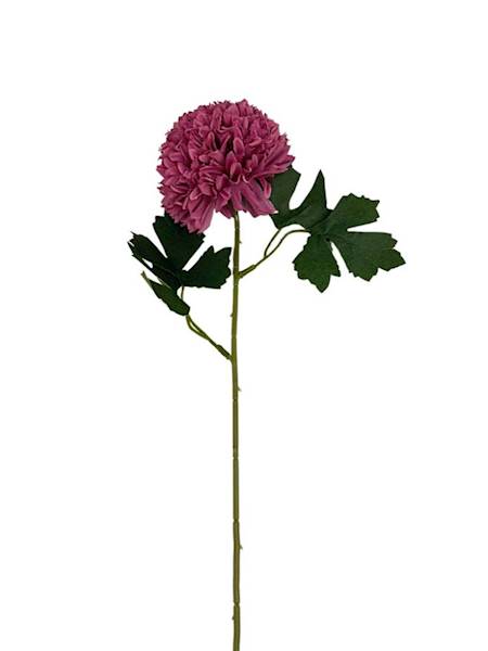 Chryzantema gałązka 50 cm brudny róż