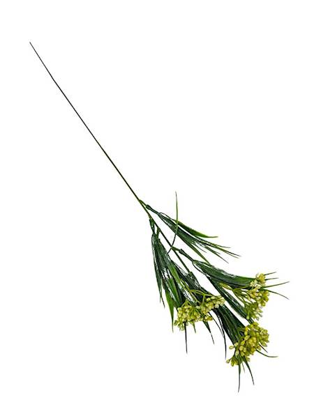 Chlorofitum dodatek 44 cm żółty