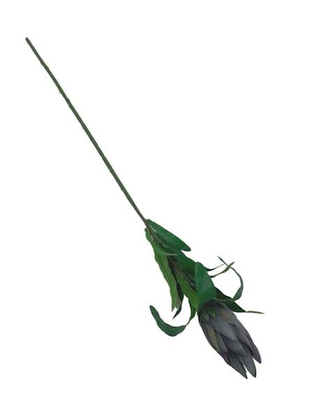Protea gałązka 70 cm szara