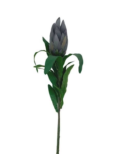 Protea gałązka 70 cm szara